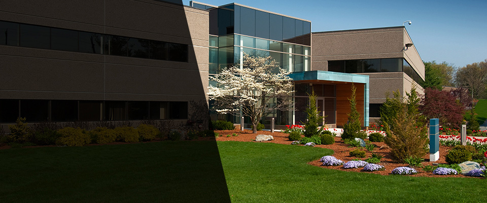 Saint Albans Landscapers