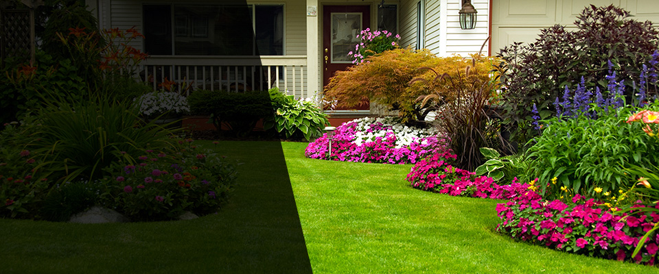 Saint Albans Landscapers